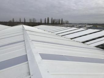 Будівництво виробничих приміщень с. Пилипча, Київська область 21