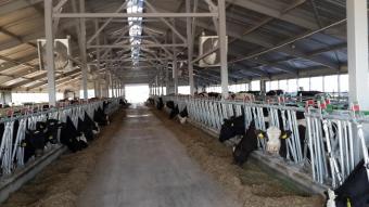 ТОВ Будівельно монтажне управління № 3, Сумська область, с.Тернівка 9