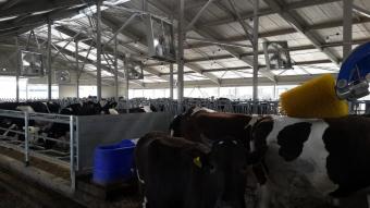 ТОВ Будівельно монтажне управління № 3, Сумська область, с.Тернівка 1