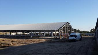 ТОВ Будівельно монтажне управління № 3, Сумська область, с.Тернівка 11